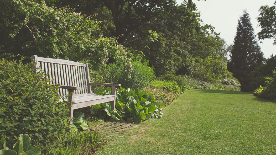 Green lawn with a wooden bench enclosed in the flowers and shrubs